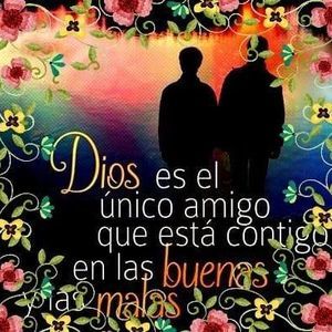 Meet your Posher, Amelia